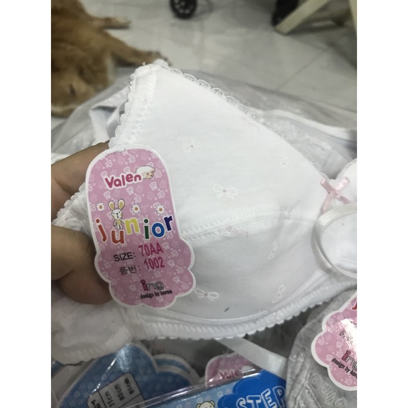 Áo ngực tuổi teen junior, hàng xuất xịn