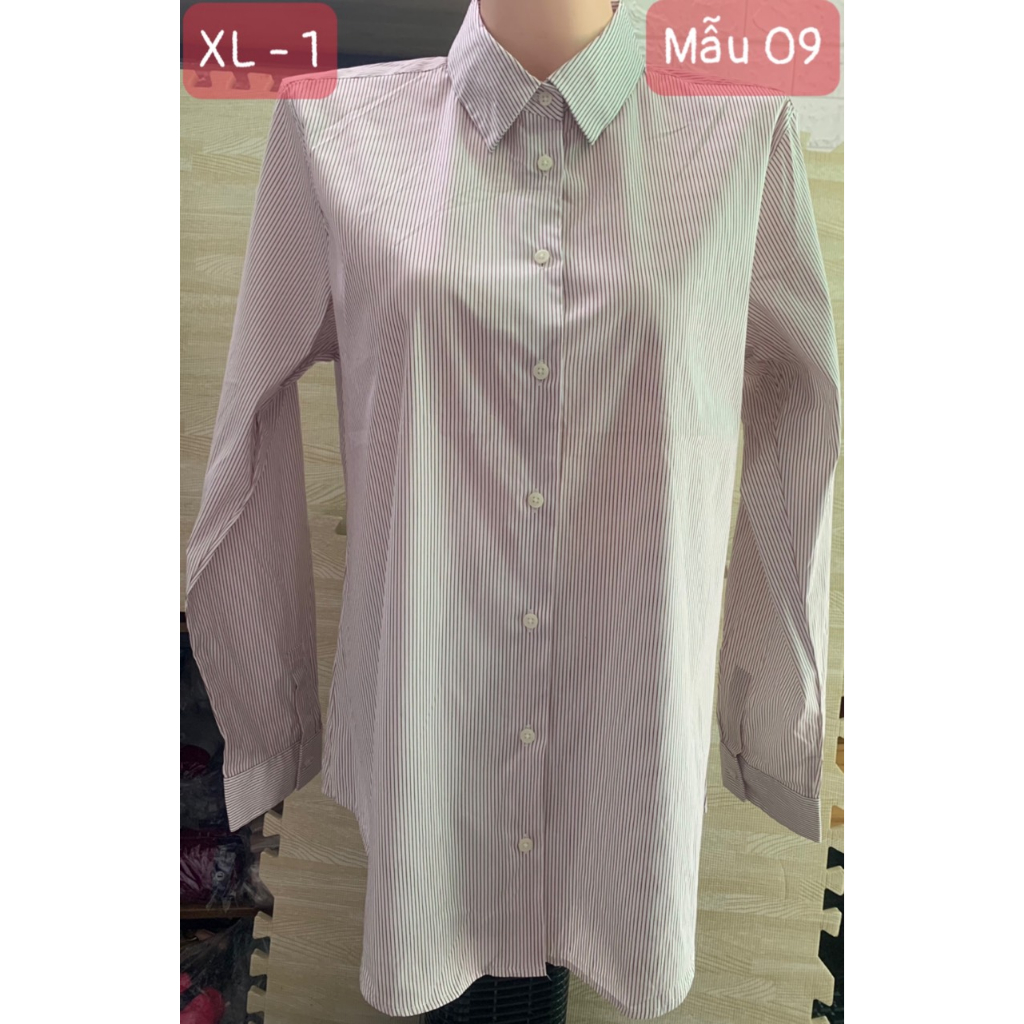 Áo sơ mi cotton nữ, hàng xuất xịn
