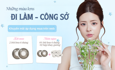 banner_coll_2_title