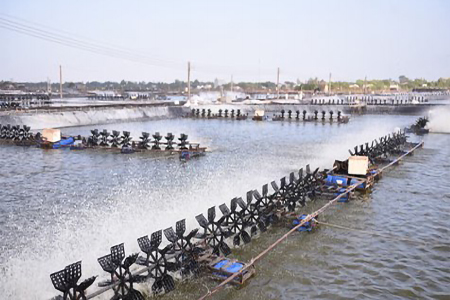 Về chúng tôi