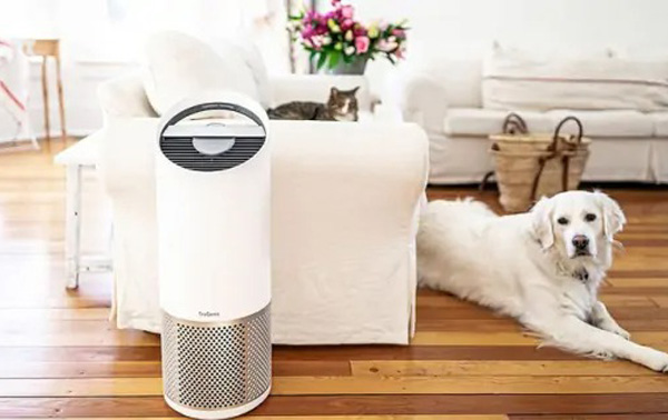 Máy lọc không khí hút lông chó mèo được không?