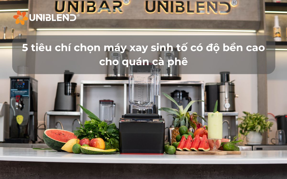 5 tiêu chí chọn máy xay sinh tố có độ bền cao cho quán cà phê