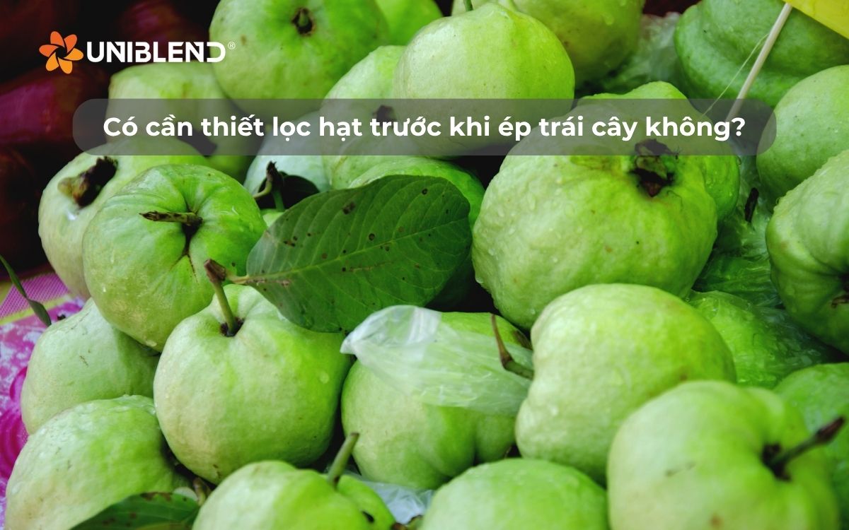 Có cần thiết lọc hạt trước khi ép trái cây không?