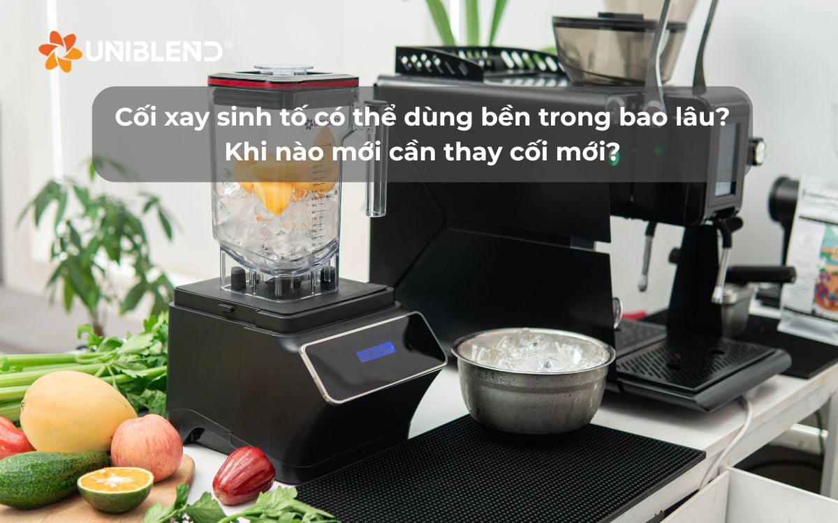 Cối xay sinh tố có thể dùng bền trong bao lâu? Khi nào mới cần thay cối mới?