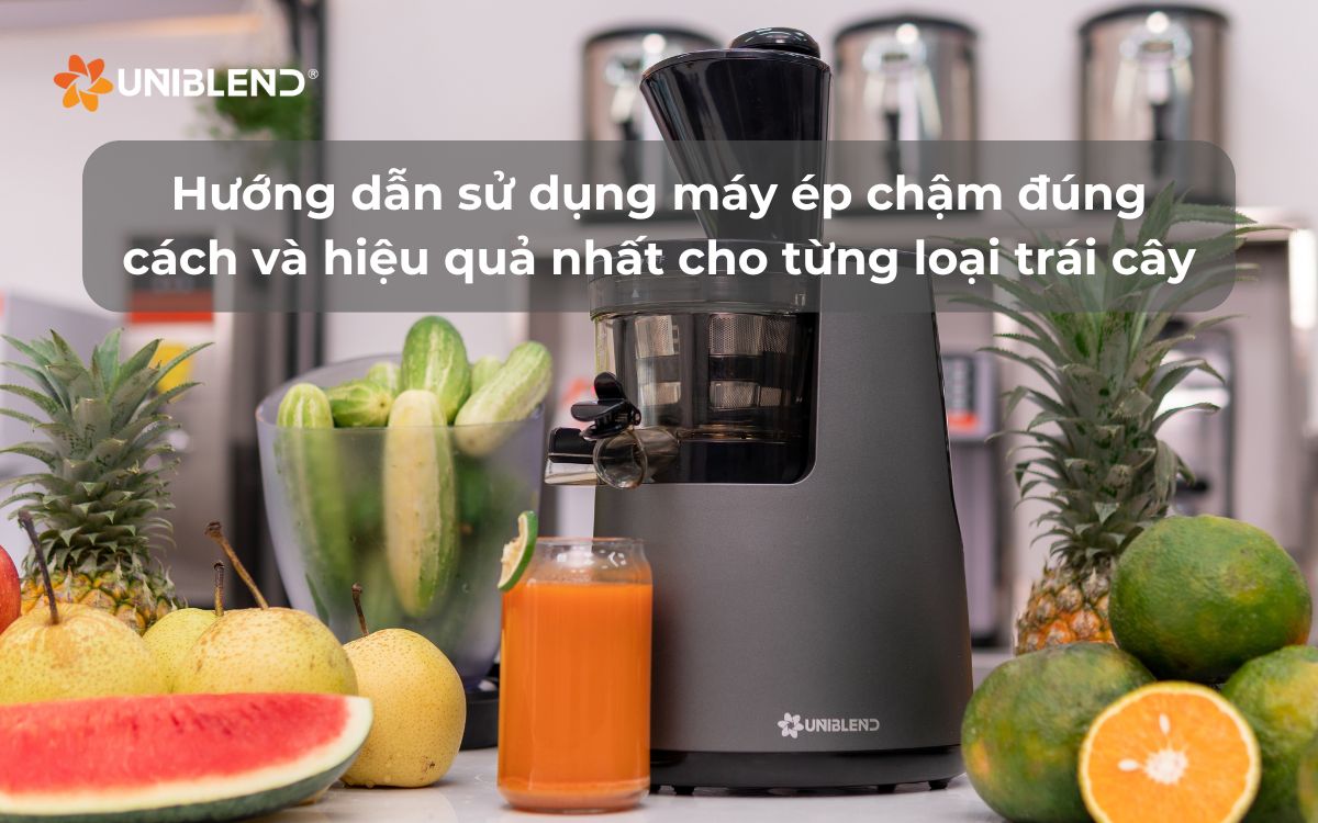 Hướng dẫn sử dụng máy ép chậm đúng cách và hiệu quả nhất cho từng loại trái cây