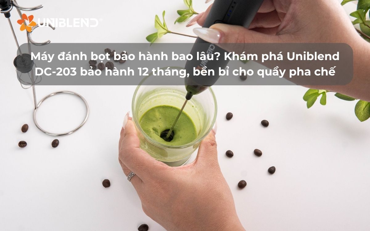 Máy đánh bọt bảo hành bao lâu? Khám phá Uniblend DC-203 – Bảo hành 12 tháng, bền bỉ cho quầy pha chế