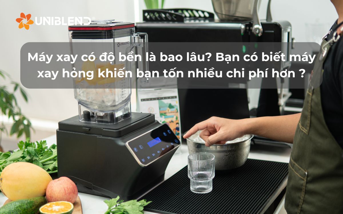 Máy xay có độ bền là bao lâu? Bạn có biết máy xay hỏng liên tục khiến bạn tốn nhiều chi phí hơn mình tưởng?