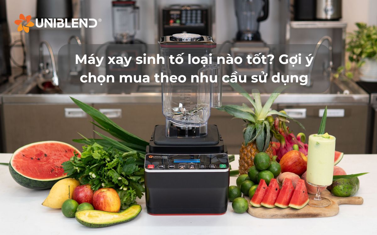 Máy xay sinh tố loại nào tốt? Gợi ý chọn mua theo nhu cầu sử dụng