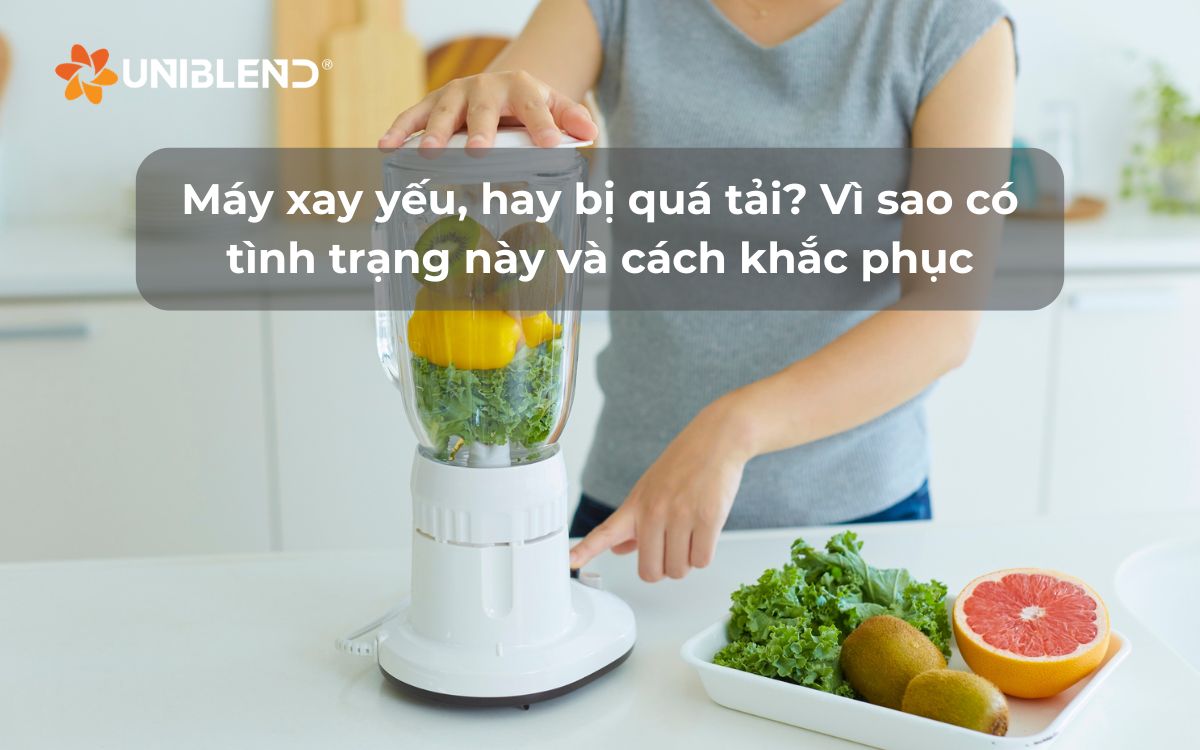 Máy xay yếu, hay bị quá tải? Vì sao có tình trạng này và cách khắc phục