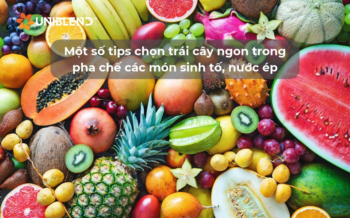 Một số tips chọn trái cây ngon trong pha chế các món sinh tố, nước ép