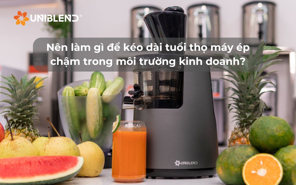 Nên làm gì để kéo dài tuổi thọ máy ép chậm trong môi trường kinh doanh?