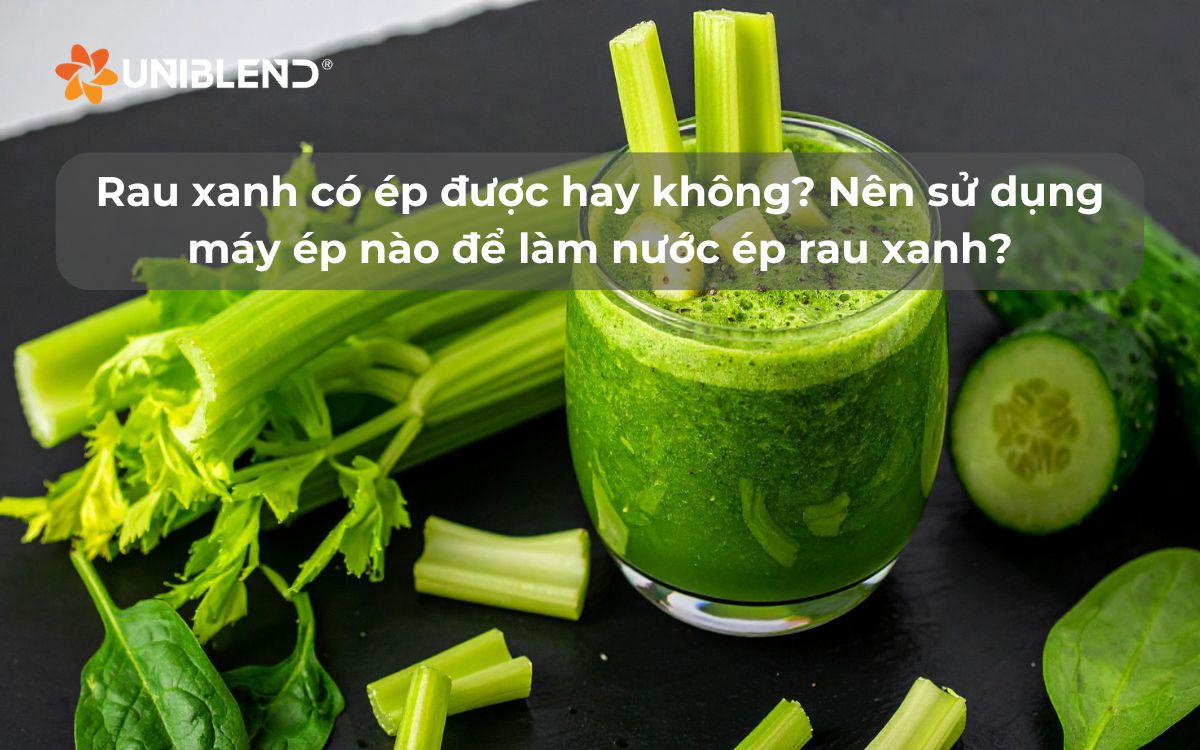 Rau xanh có ép được hay không? Nên sử dụng máy ép nào để làm nước ép rau xanh?