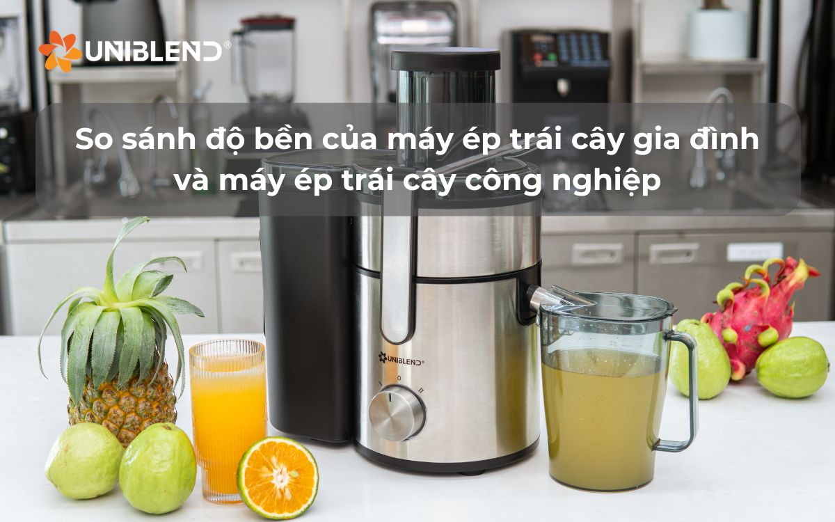 So sánh độ bền của máy ép trái cây gia đình và máy ép trái cây công nghiệp