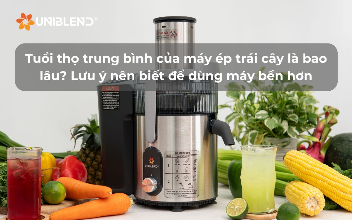 Tuổi thọ trung bình của máy ép trái cây là bao lâu? Lưu ý nên biết để dùng máy bền hơn