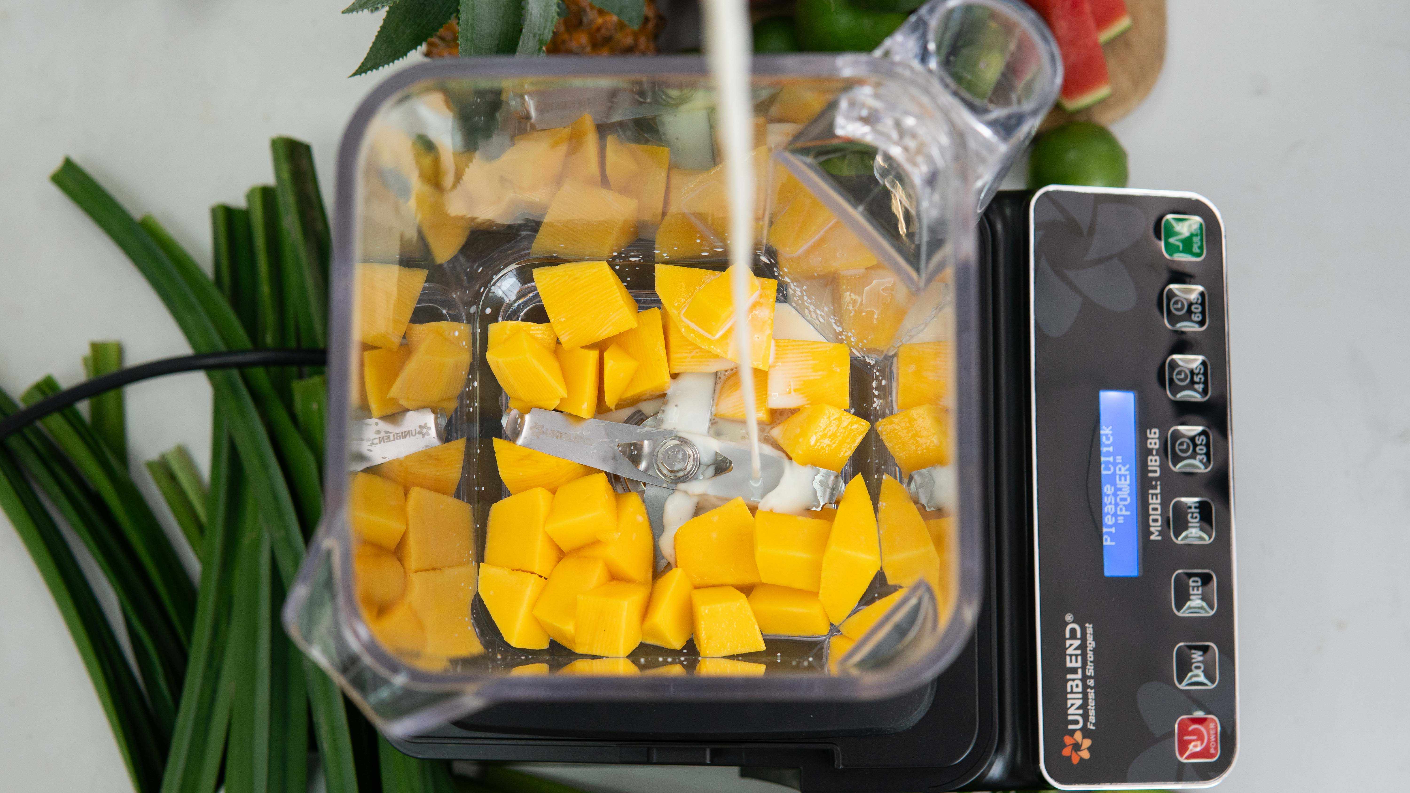 Máy xay công nghiệp Uniblend UB-86