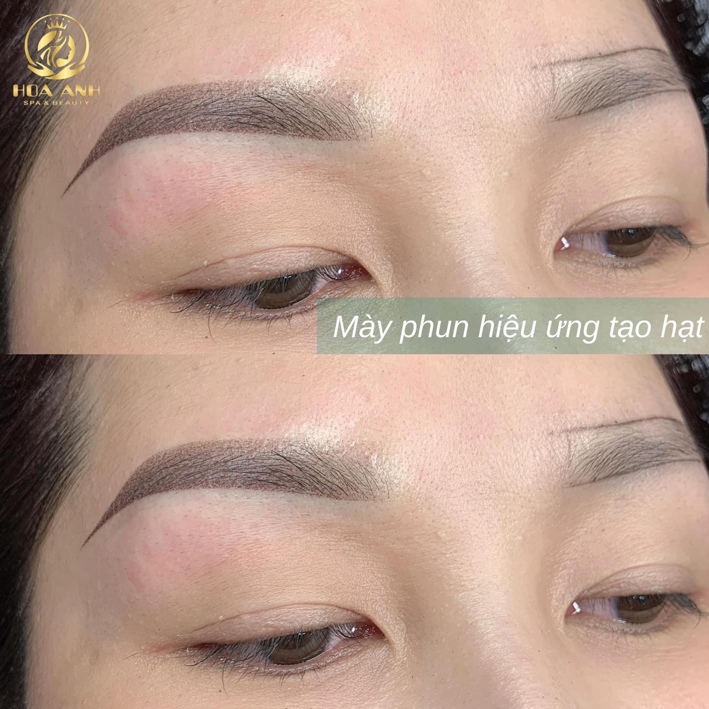 MÀY PHUN RÃI HẠT LÀ GÌ ? GIÁ CHÂN MÀY PHUN RÃI HẠT 2024