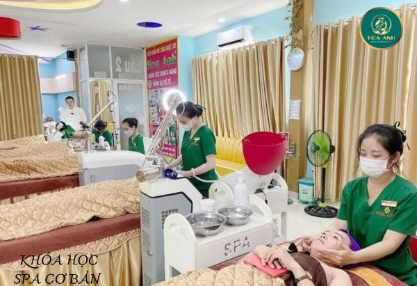 Khóa Học Spa Cơ Bản: Khám Phá Nghệ Thuật Chăm Sóc Sắc Đẹp