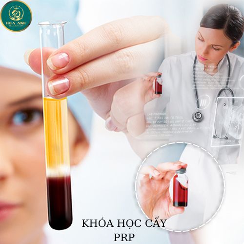 KHÓA ĐÀO TẠO PRP CHUẨN Y KHOA