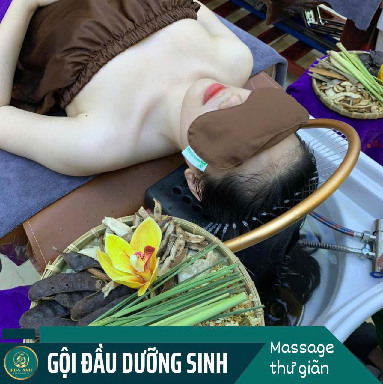 Khóa Học Gội Đầu Từ Cơ Bản Đến Chuyên Sâu – Nâng Tầm Nghệ Thuật Chăm Sóc Tóc Và Da Đầu
