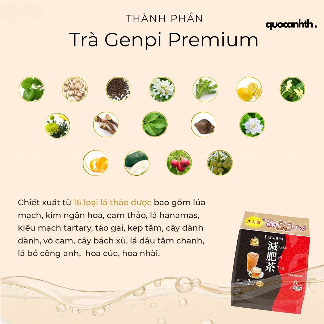 Trà Thải Độc GenPi Prenium