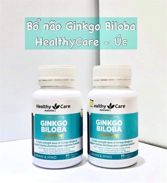 Bổ não Ginkgo 6000