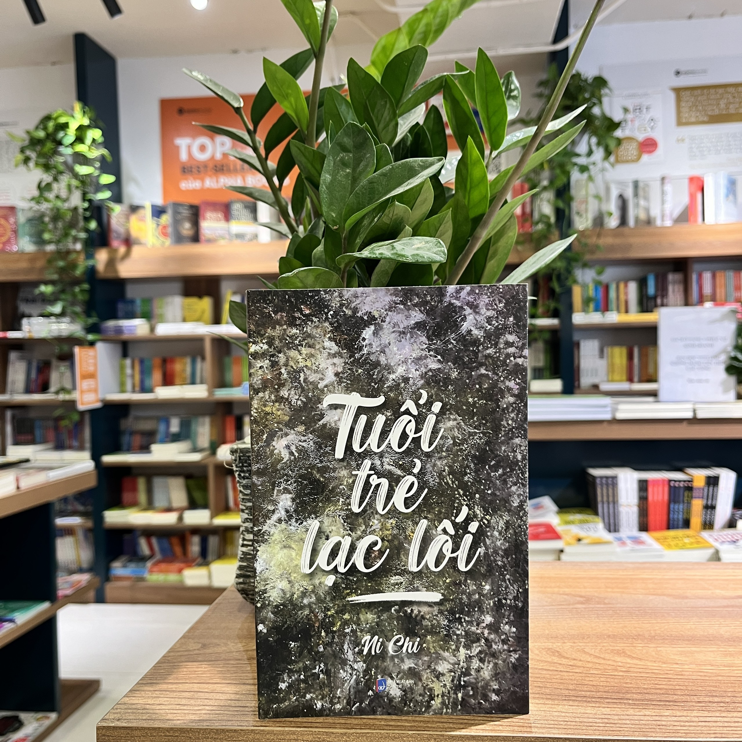 Tuổi trẻ lạc lối (SDV) 129k