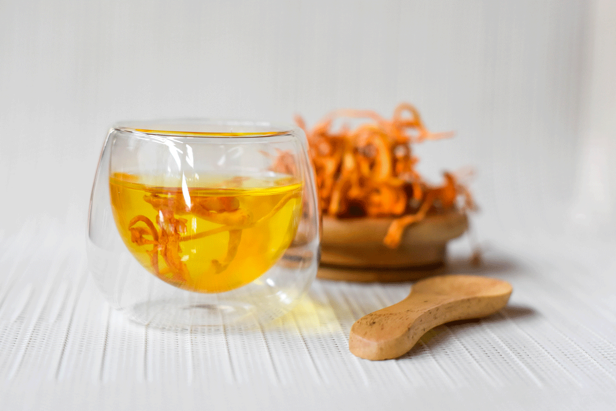 Trà đông trùng hạ thảo
