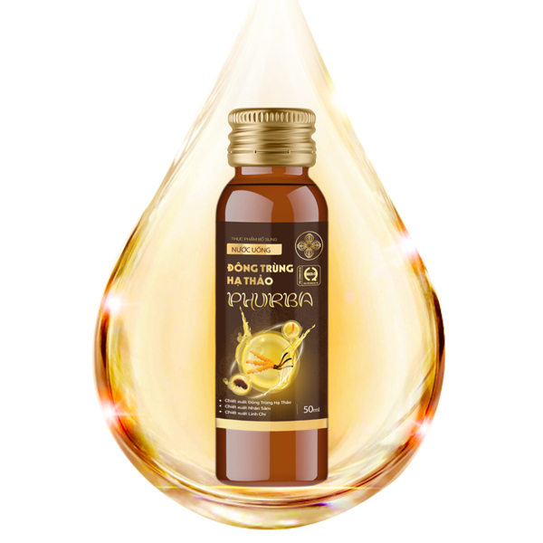 SẢN PHẨM CỦA PHURBA