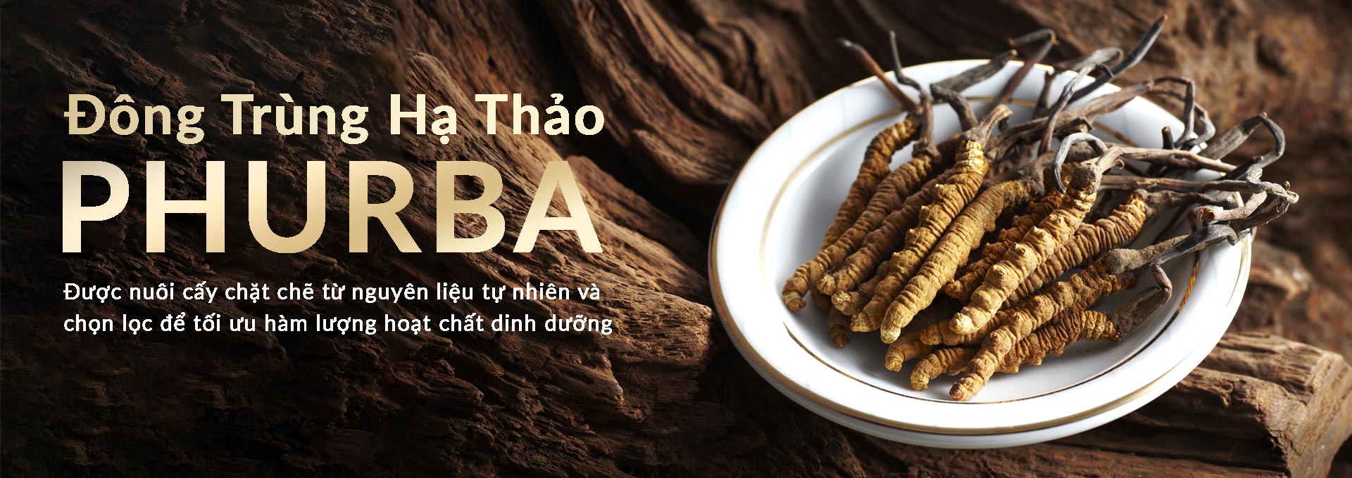 SẢN PHẨM CỦA PHURBA