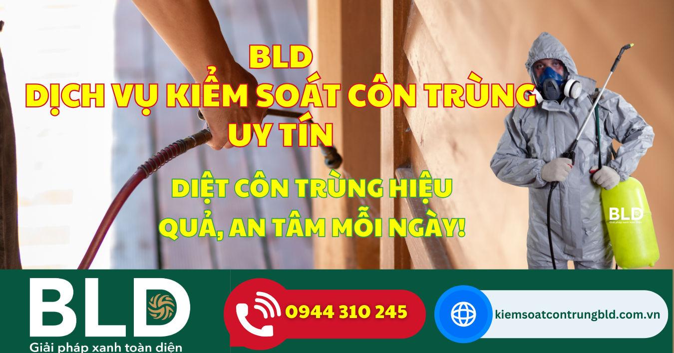 Tại sao gia đình bạn nên sử dụng dịch vụ kiểm soát côn trùng? (6 lý do thiết thực)