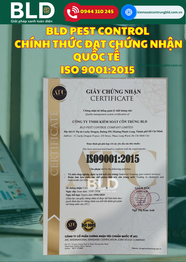 BLD PEST CONTROL ĐẠT CHỨNG NHẬN QUỐC TẾ ISO 9001:2015 – BƯỚC NGOẶT KHẲNG ĐỊNH SỰ CHUYÊN NGHIỆP VÀ CHẤT LƯỢNG DỊCH VỤ