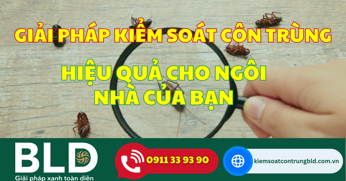 Giải Pháp Kiểm Soát Côn Trùng Hiệu Quả Cho Ngôi Nhà Của Bạn