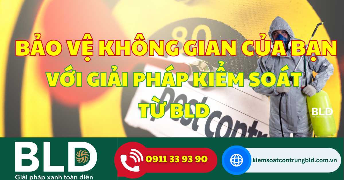 Bảo vệ Không Gian Của Bạn với Giải Pháp Kiểm Soát Mối Đe Dọa Của BLD