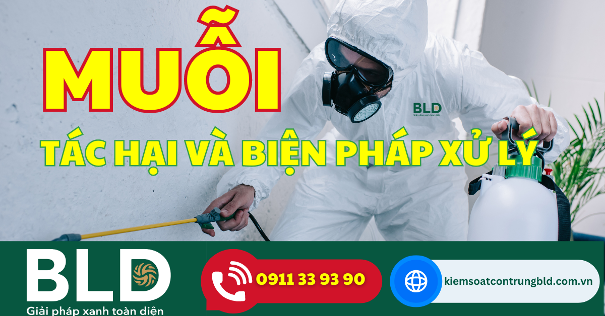 Tác Hại và Biện Pháp Xử Lý Muỗi