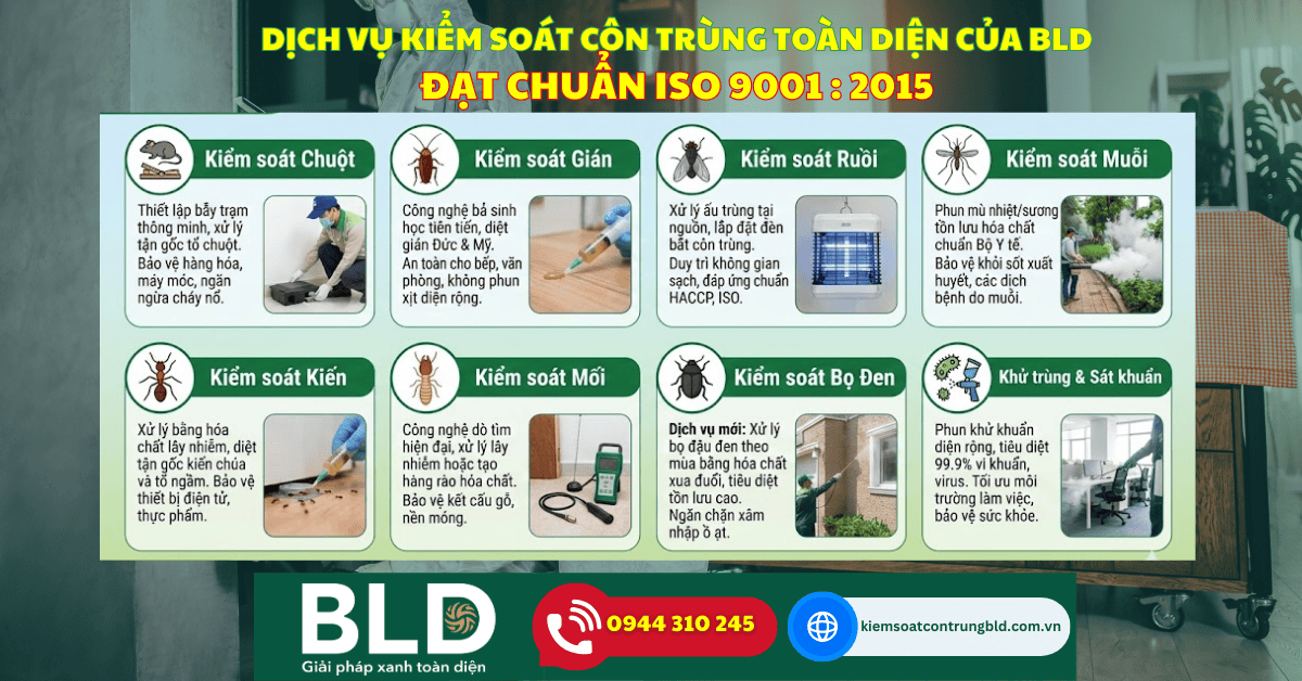 Dịch Vụ Nổi Bật tại BLD
