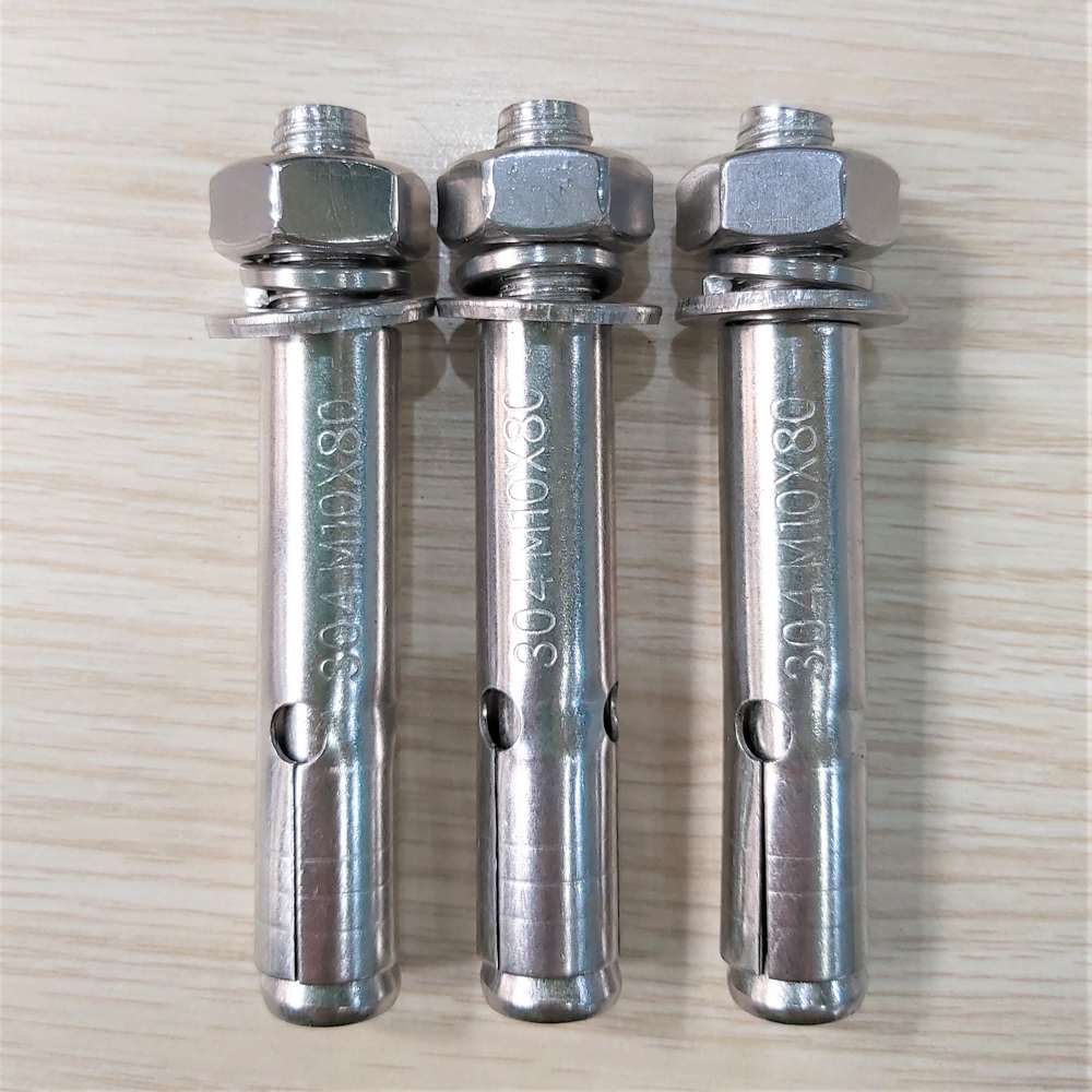 Nở đạn inox 304 M12