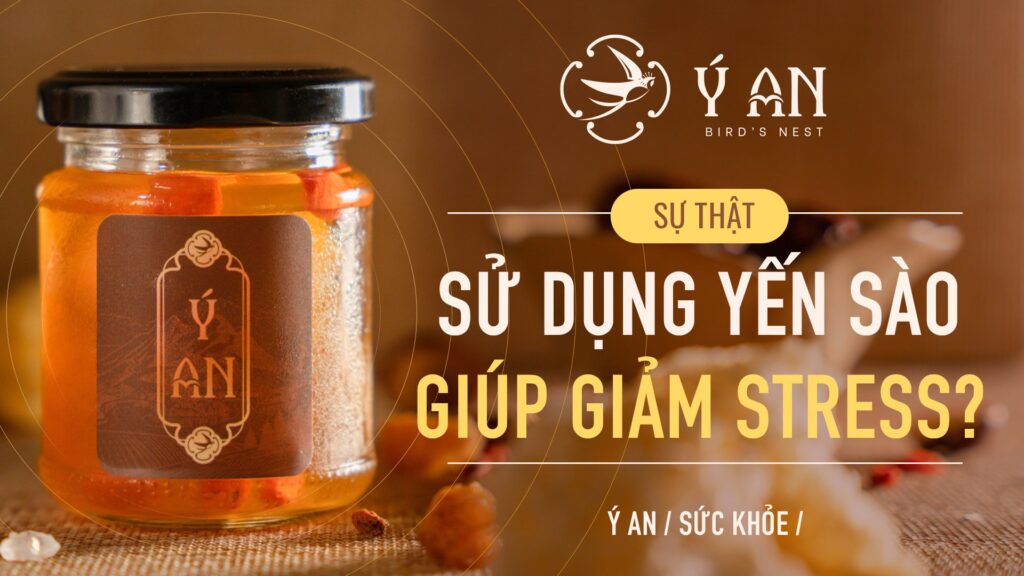 Sự Thật: Sử Dụng Yến Sào Có Thực Sự Giảm Stress?