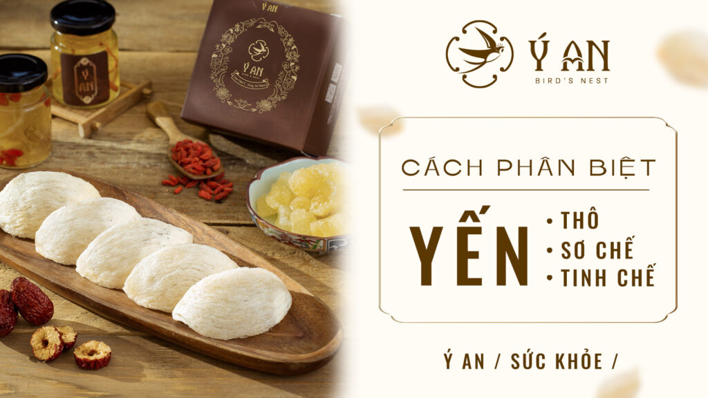 So sánh yến tinh chế và yến sơ chế – Loại nào tốt hơn?