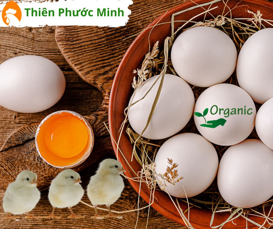Thực Phẩm Hữu Cơ Với Giá Trị Dinh Dưỡng Tối Ưu