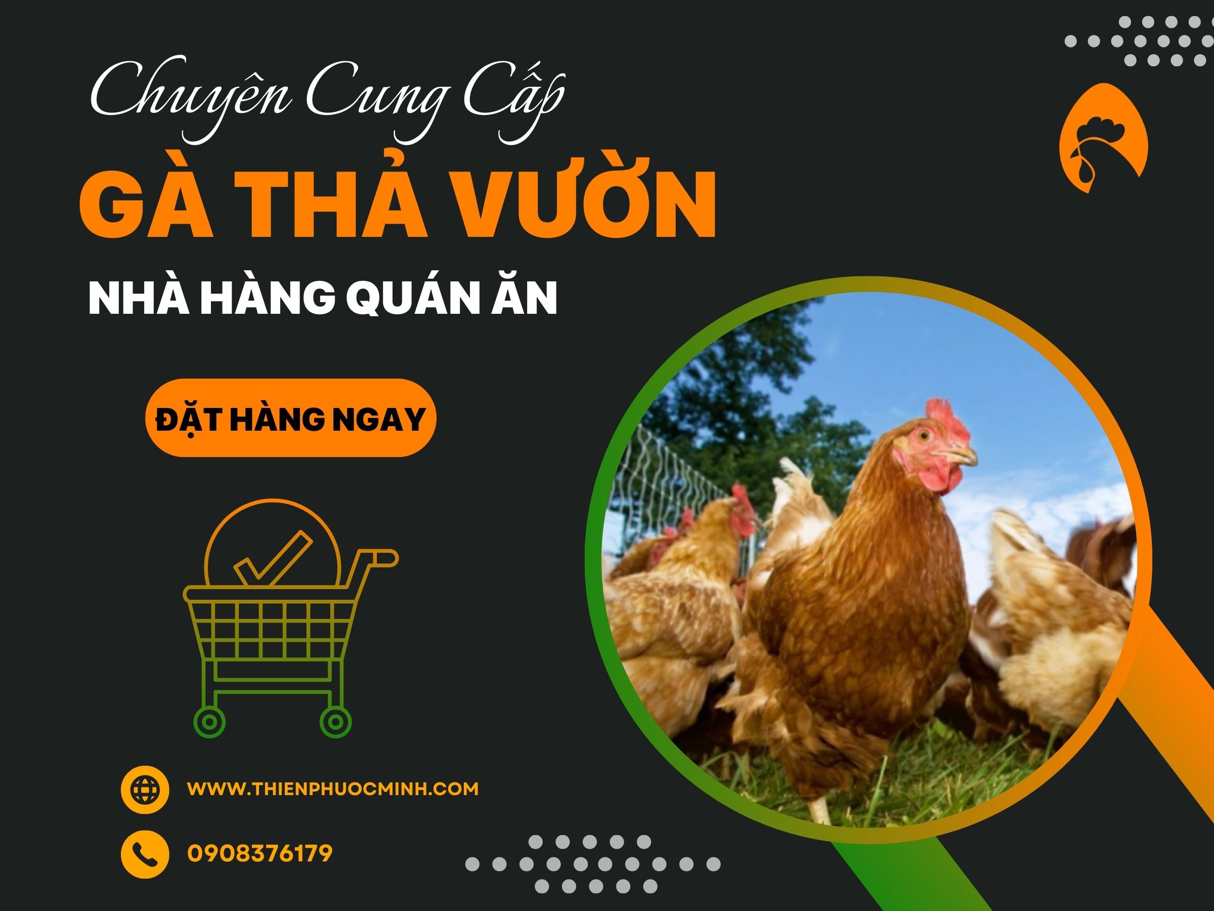 CHUYÊN CUNG CẤP GÀ THẢ VƯỜN CHO CÁC NHÀ HÀNG, QUÁN ĂN