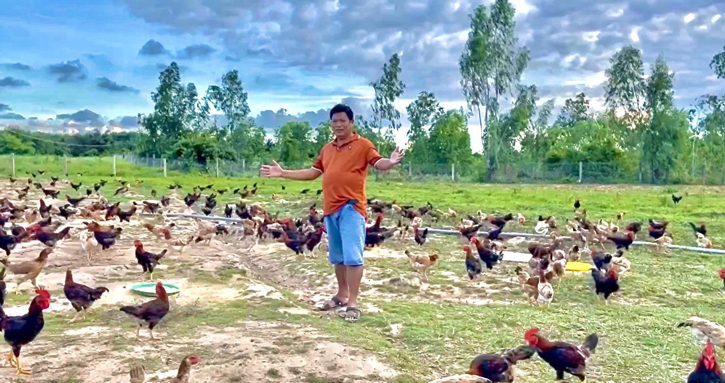 TRỨNG GÀ HỮU CƠ NÔNG TRẠI THIÊN PHƯỚC MINH