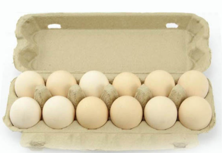 SET 1 : 01 VỈ 12 TRỨNG