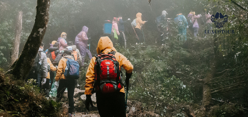 A Day Fansipan Trekking and Cable Car Adventure