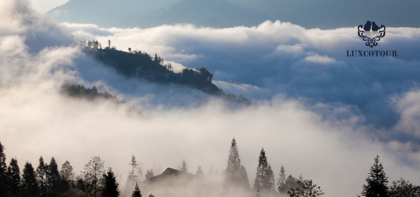 Group Tour: Sapa Trekking 2 Days 1 Night from Hanoi | Unforgettable  Adventure
