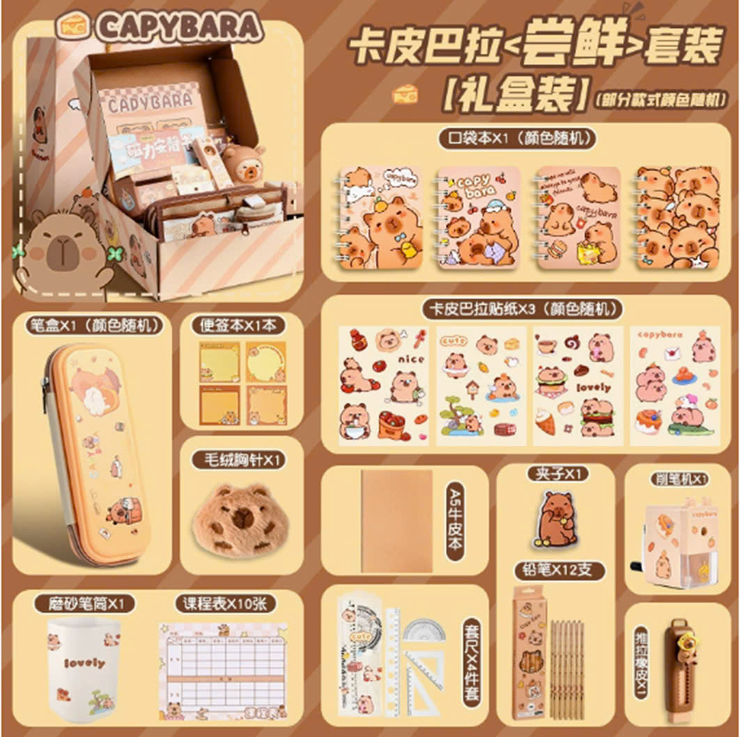 Đồ dùng học tập Capybara KPBL-XXTZ-982A(10 bộ/thùng)