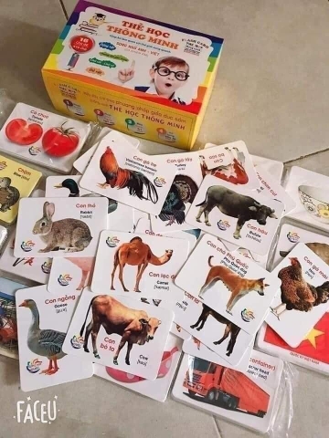 Thẻ học thông minh 16 chủ đề hộp trắng - vàng