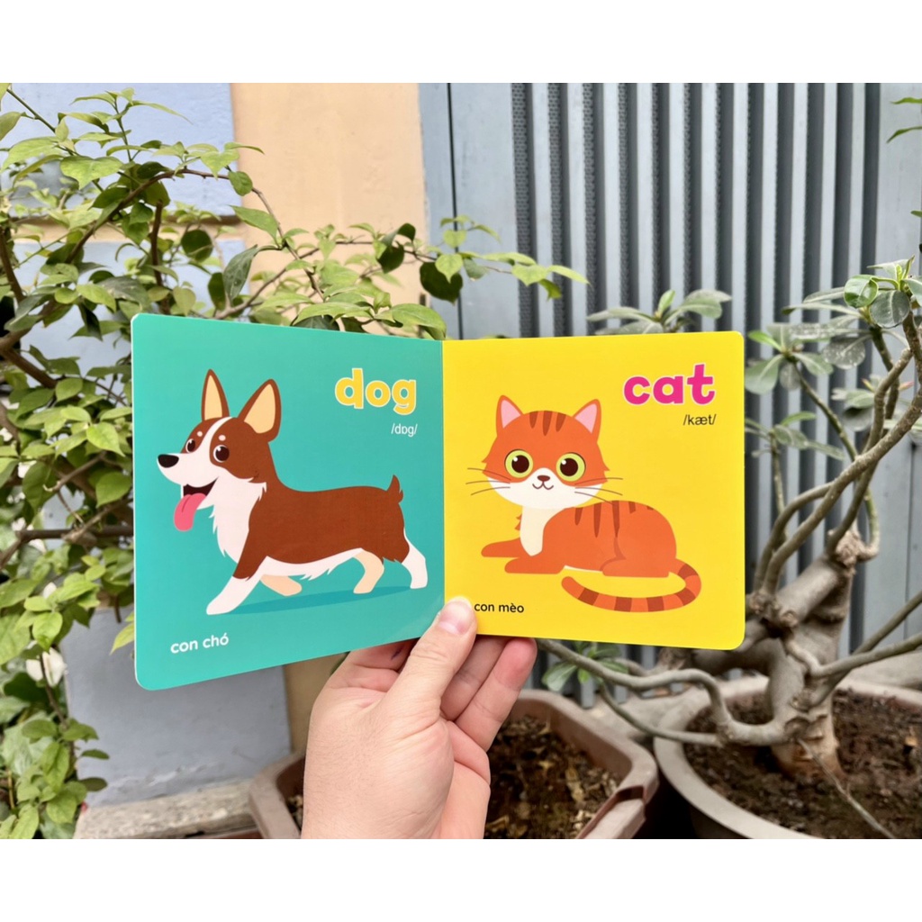 Baby first picture book (bộ sách hình ảnh đầu tiên cho bé về thế giới xung quanh)