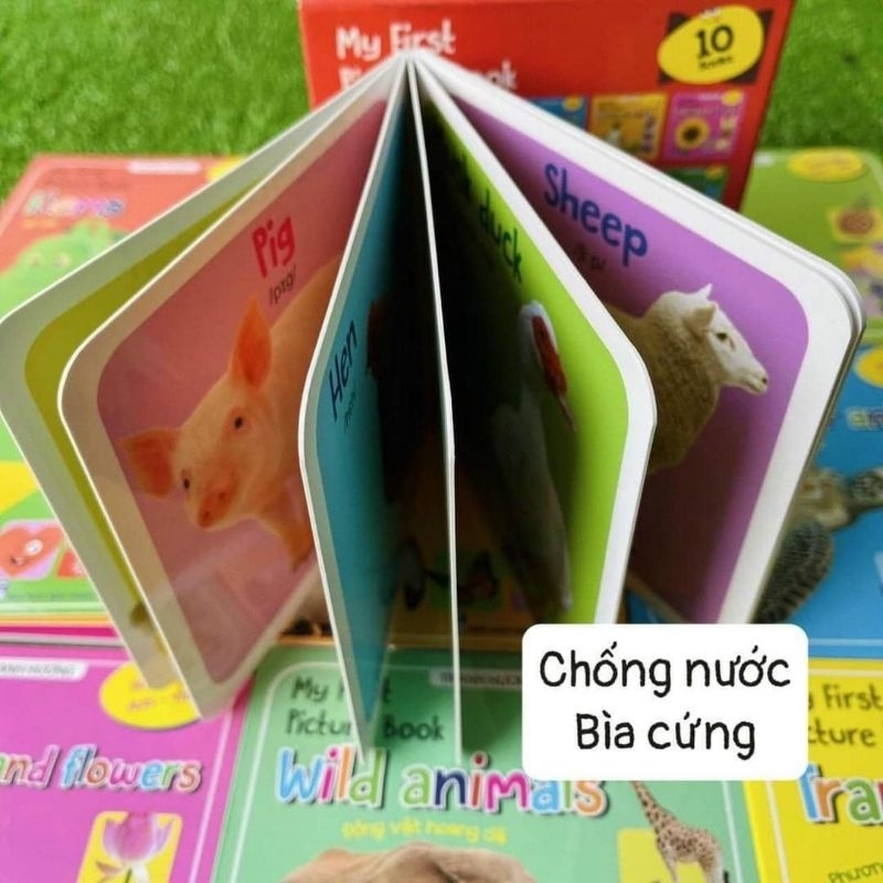 Myfirst picture book (truyện tranh tư duy hình ảnh cho bé bộ 10q)