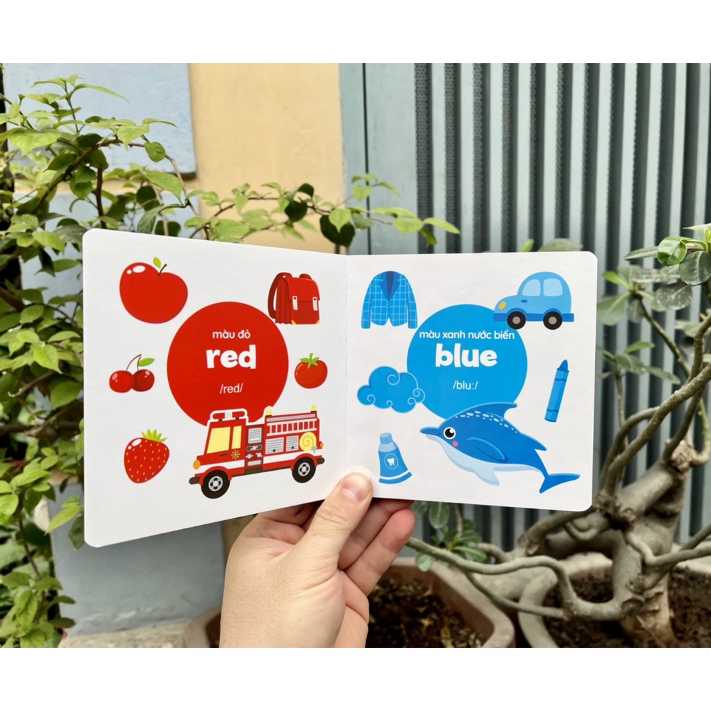 Baby first picture book (bộ sách hình ảnh đầu tiên cho bé về thế giới xung quanh)