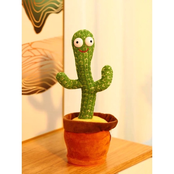 Xương rồng(100 bộ/thùng)